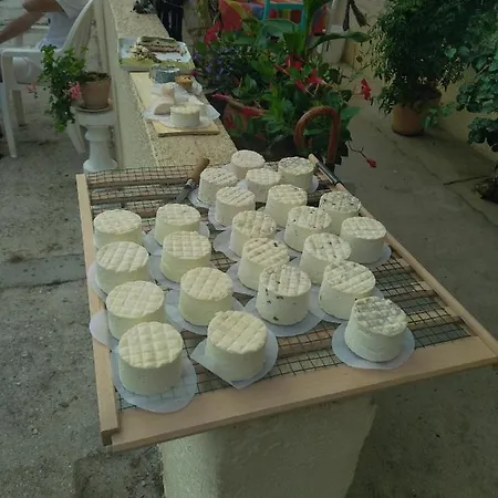 Eco Nature, A La Ferme Vendays-Montalivet