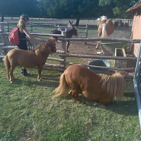 Holiday home Eco Nature, A La Ferme *