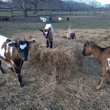 Eco Nature, A La Ferme Holiday home