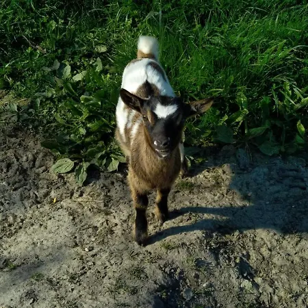 eco nature, gite à la ferme Casa vacanze *