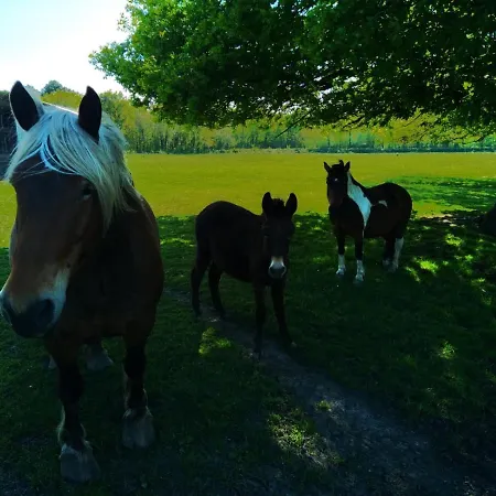 eco nature, gite à la ferme Casa vacanze Vendays-Montalivet