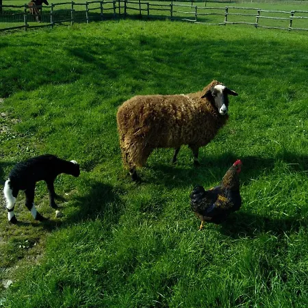 eco nature, gite à la ferme *