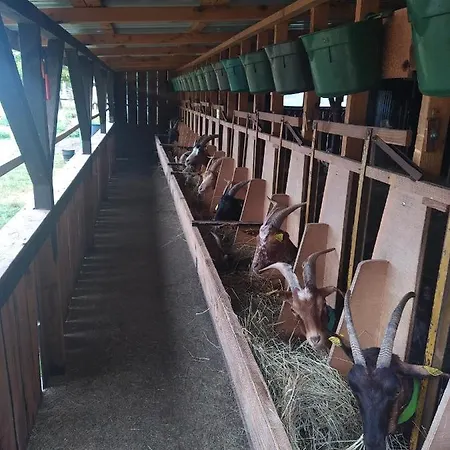 Casa vacanze eco nature, gite à la ferme *