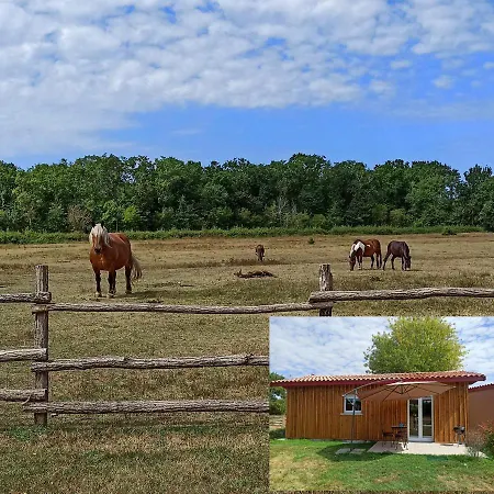 eco nature, gite à la ferme Vendays-Montalivet