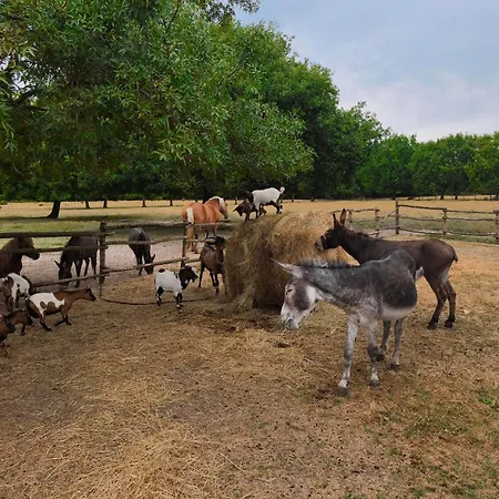 eco nature, gite à la ferme